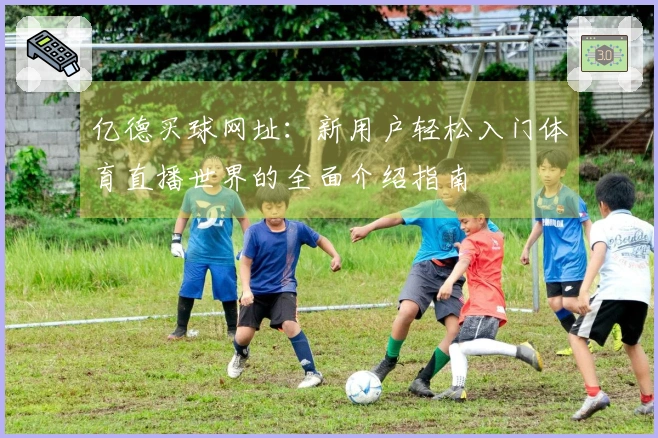 亿德买球网址：新用户轻松入门体育直播世界的全面介绍指南