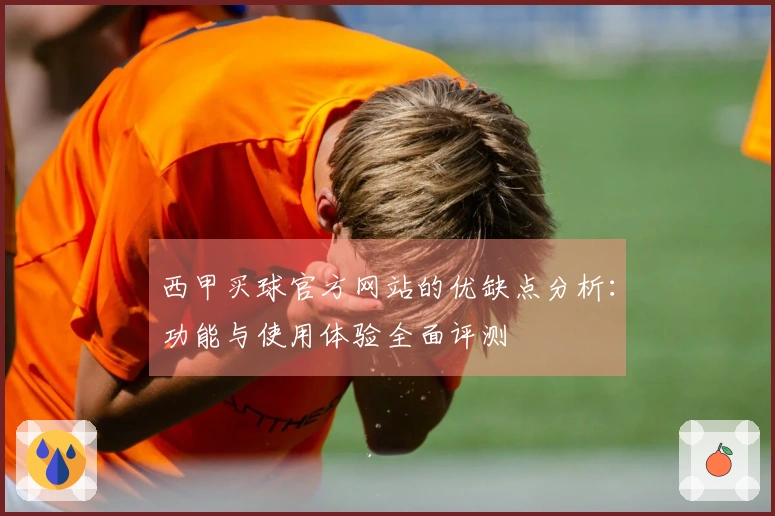 西甲买球官方网站的优缺点分析：功能与使用体验全面评测