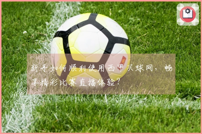 新手如何顺利使用西甲买球网，畅享精彩比赛直播体验？