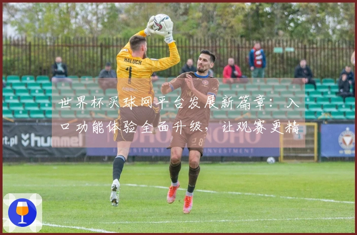 世界杯买球网平台发展新篇章：入口功能体验全面升级，让观赛更精彩