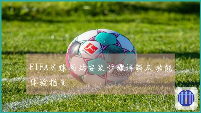 FIFA买球网站安装步骤详解及功能体验指南