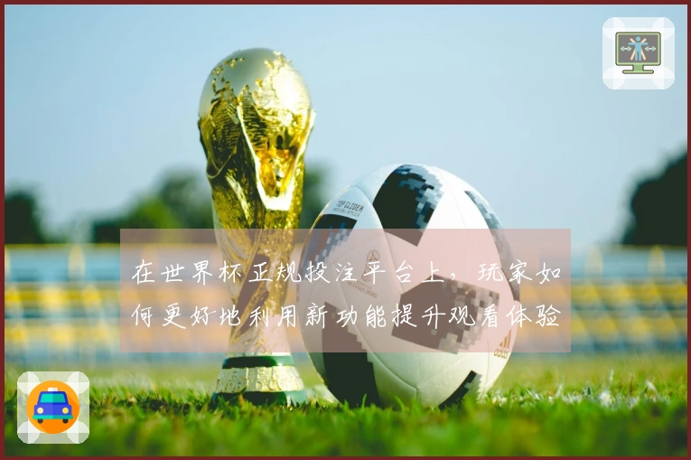 在世界杯正规投注平台上，玩家如何更好地利用新功能提升观看体验？