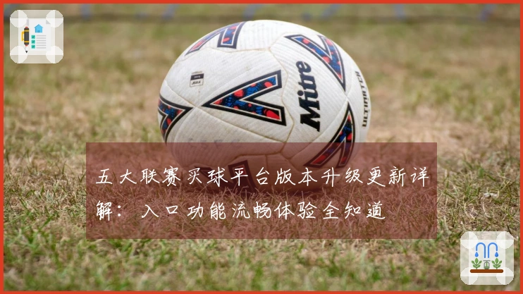 五大联赛买球平台版本升级更新详解：入口功能流畅体验全知道