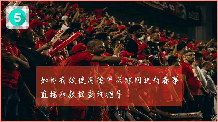 如何有效使用德甲买球网进行赛事直播和数据查询指导