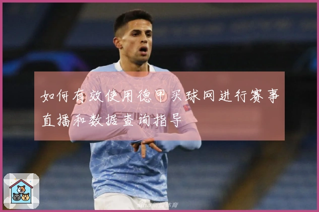 如何有效使用德甲买球网进行赛事直播和数据查询指导