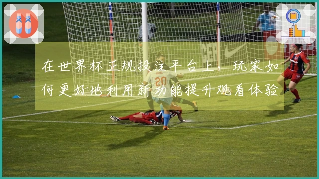 在世界杯正规投注平台上，玩家如何更好地利用新功能提升观看体验？